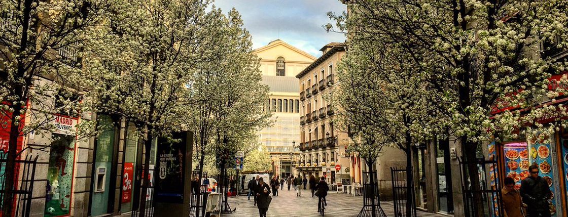 《纽约时报》全球最美街道名单，其中一条就在马德里