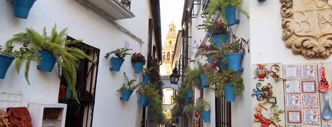 如何在科尔多瓦的巷子里找到西班牙最美的春天，和秋天？
