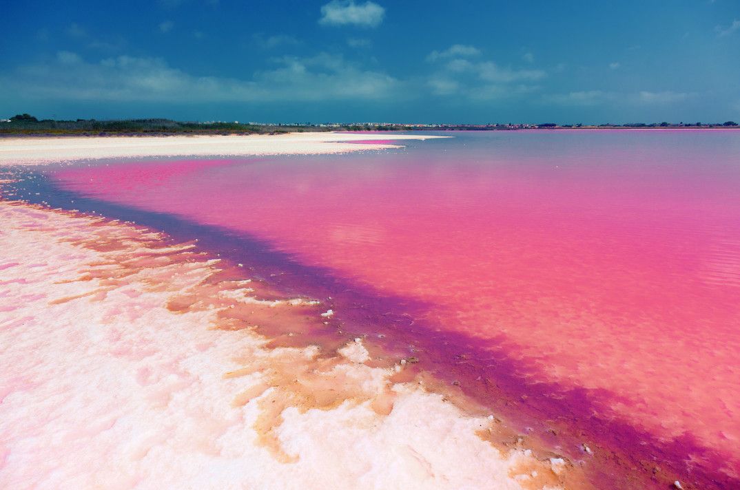 VLOG浪漫到冒泡泡的西班牙粉红湖