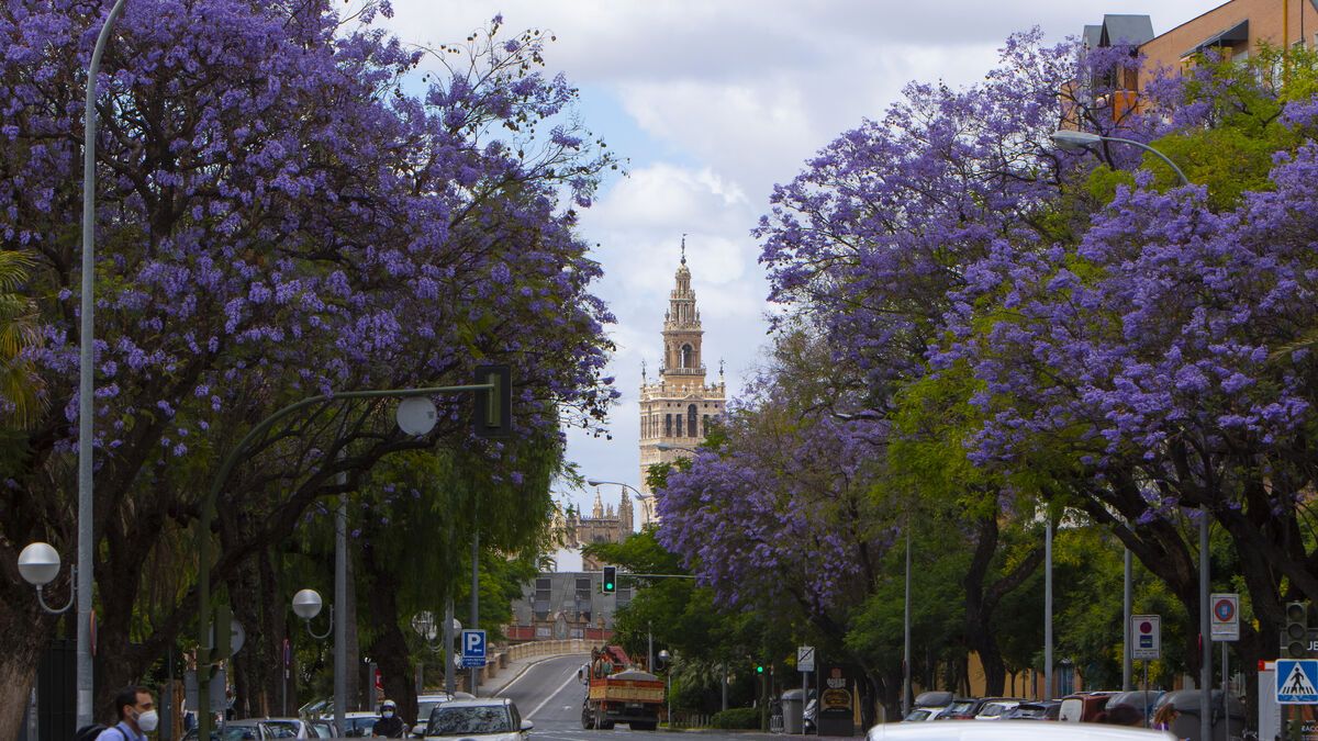 顺着【2022年度流行色】去旅行，蓝得发»紫»的西班牙美成什么样子？
