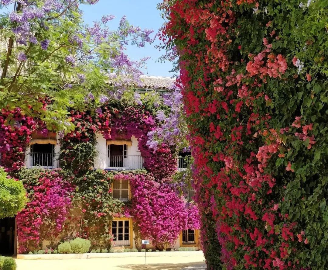 三·八特辑|传奇女公爵的秘密花园和梦幻城堡，集美们在西班牙旅行的最新打卡圣地